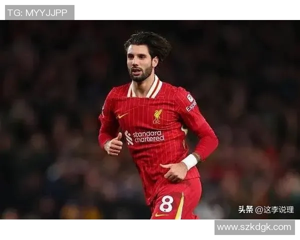 索博斯洛伊的历史与文化探秘：揭开这座城市的神秘面纱